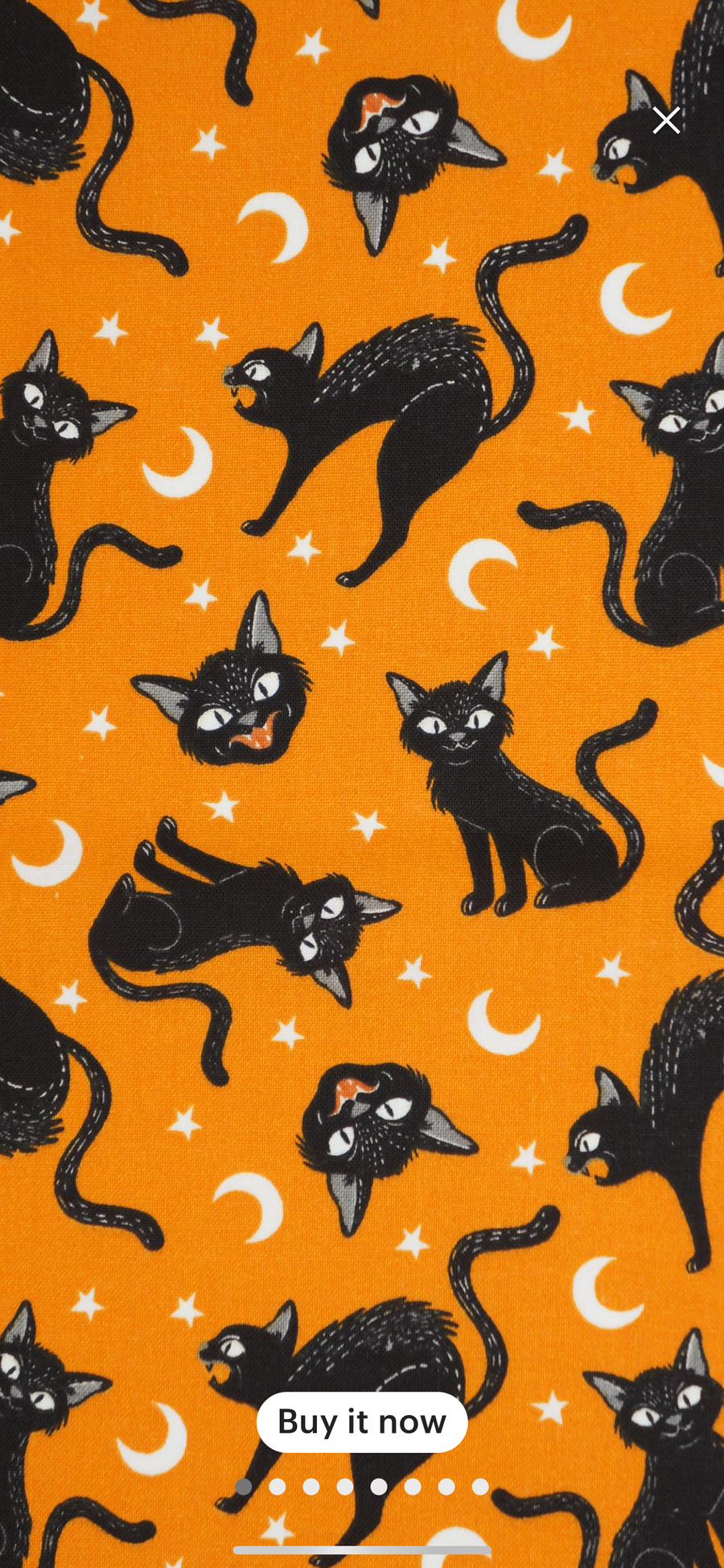 Black Cats Halloween