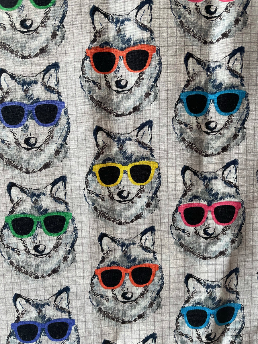 Dogs & Glasses